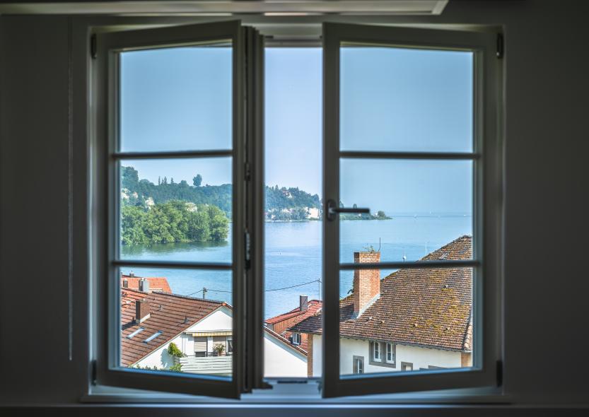 Sprossenfenster mit Aussicht auf Bodensee